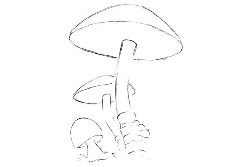 mushroom drawing tutorial